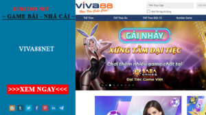 Viva88net – Nhà cái uy tín số 1 thị trường hiện nay